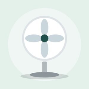 BLDC Fan