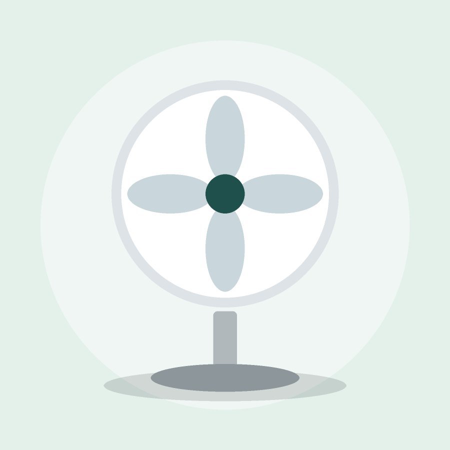 BLDC Fan